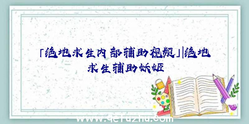 「绝地求生内部辅助视频」|绝地求生辅助妖姬